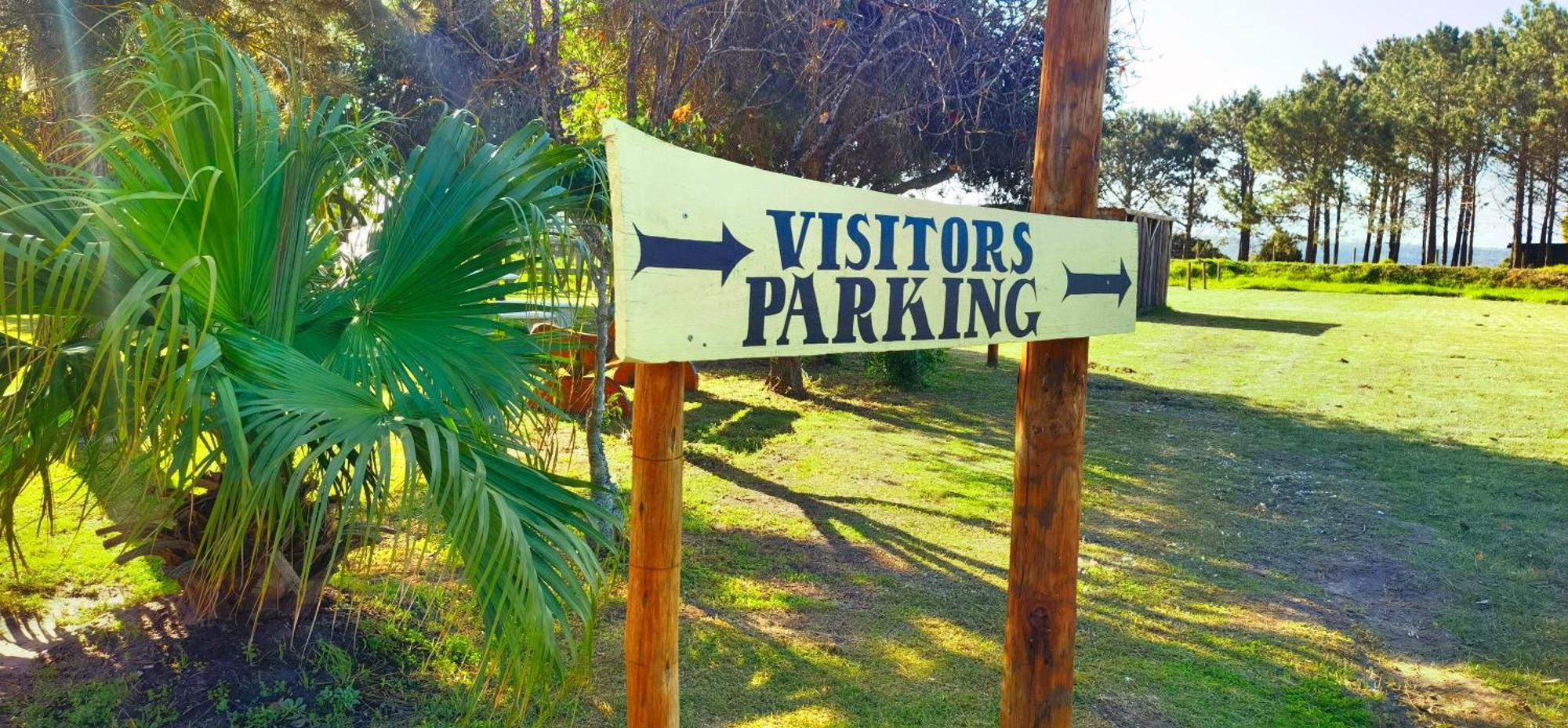 Moonsong Accommodation & Camping Plettenberg Bay Dış mekan fotoğraf