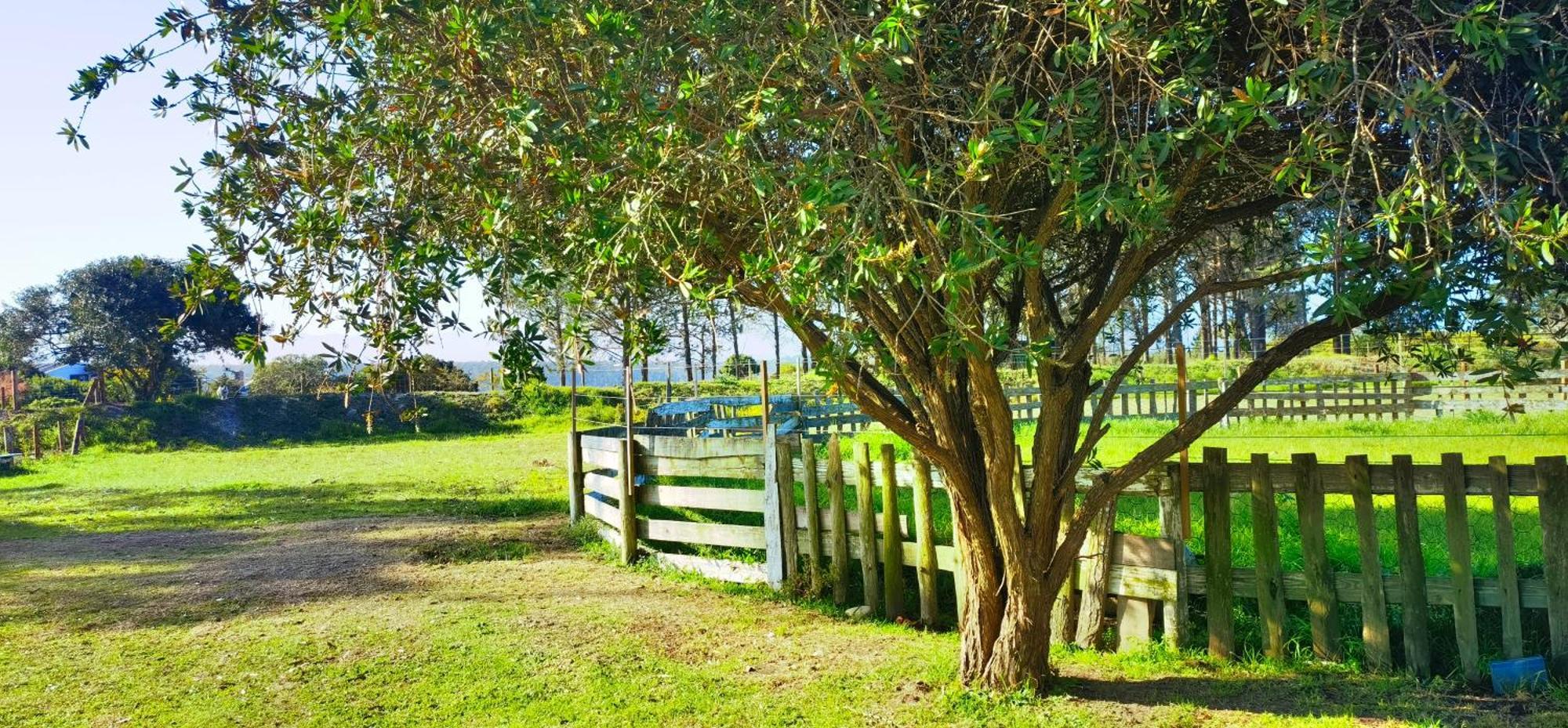 Moonsong Accommodation & Camping Plettenberg Bay Dış mekan fotoğraf