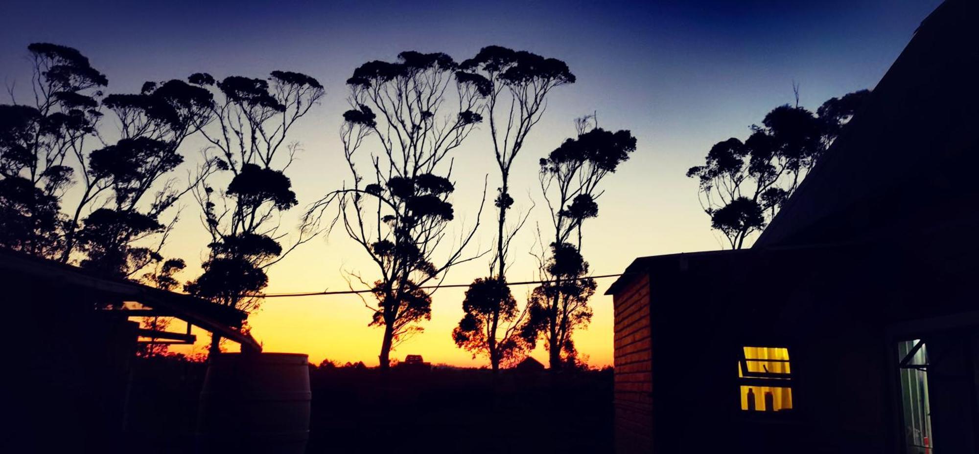 Moonsong Accommodation & Camping Plettenberg Bay Dış mekan fotoğraf
