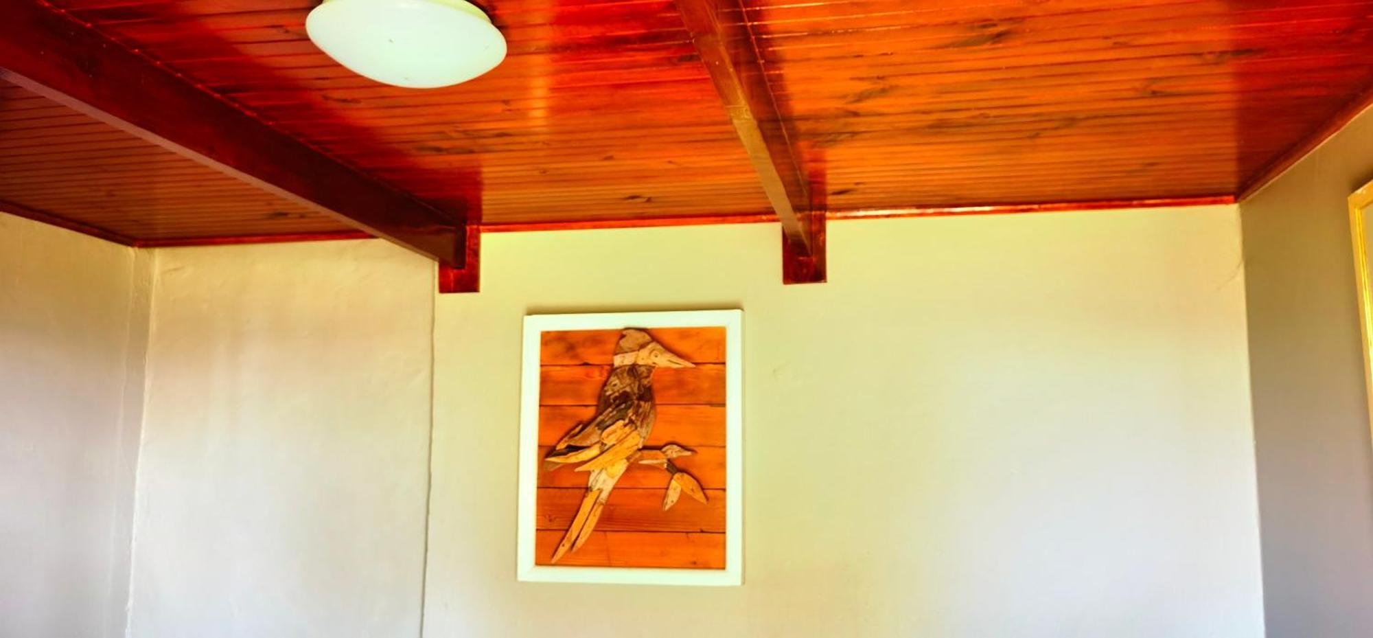 Moonsong Accommodation & Camping Plettenberg Bay Dış mekan fotoğraf